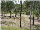 Wurdong Heights QLD 4680