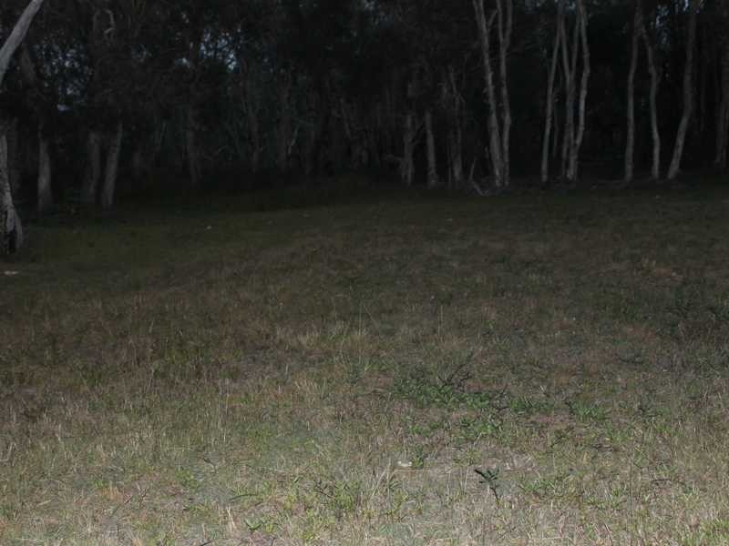 30a Coral Street, Turkey Beach QLD 4678