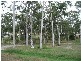 Tannum Sands QLD 4680