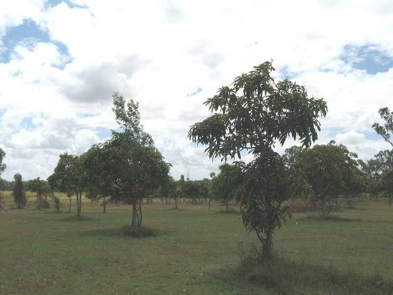 53 Scotts Road, Bororen QLD 4678