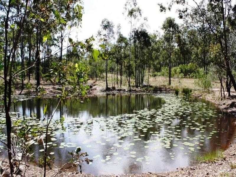 639 Turkey Beach Road, Foreshores QLD 4678