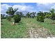 48 Koorawatha Drive, Bororen QLD 4678