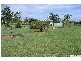 48 Koorawatha Drive, Bororen QLD 4678