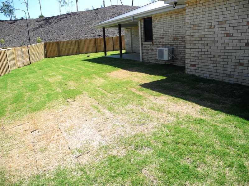 11 Brushtail Court, Boyne Island QLD 4680