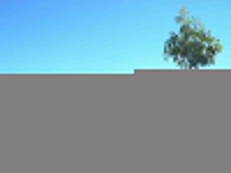 5 Corimba Parade, Boyne Island QLD 4680