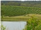 1891 Anderleigh Road, Anderleigh QLD 4570