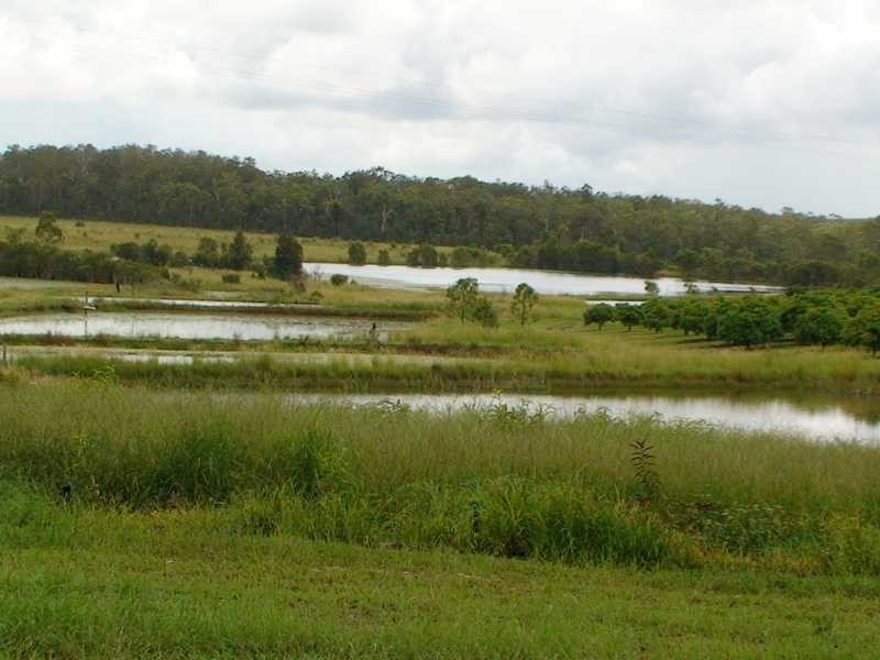 1891 Anderleigh Road, Anderleigh QLD 4570