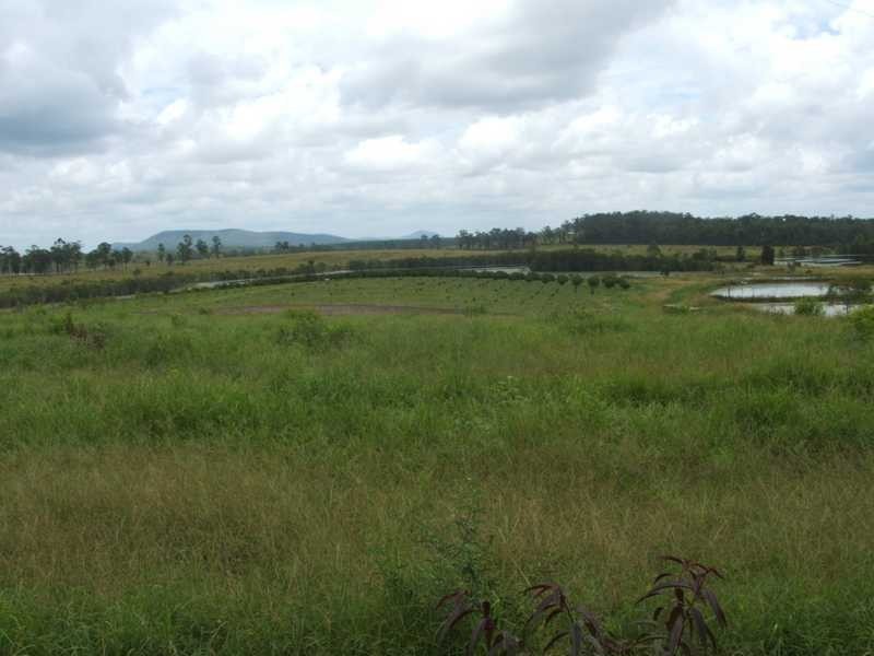 1891 Anderleigh Road, Anderleigh QLD 4570