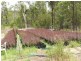 1891 Anderleigh Road, Anderleigh QLD 4570
