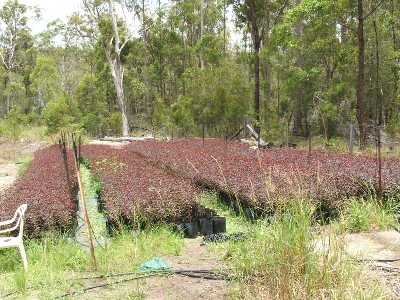 1891 Anderleigh Road, Anderleigh QLD 4570