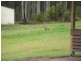 1891 Anderleigh Road, Anderleigh QLD 4570