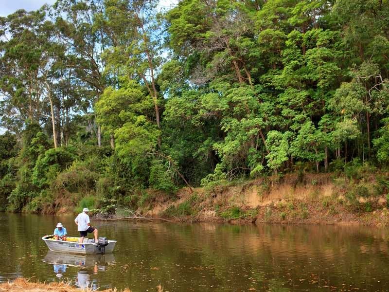 56 Collins Road, Yandina QLD 4561