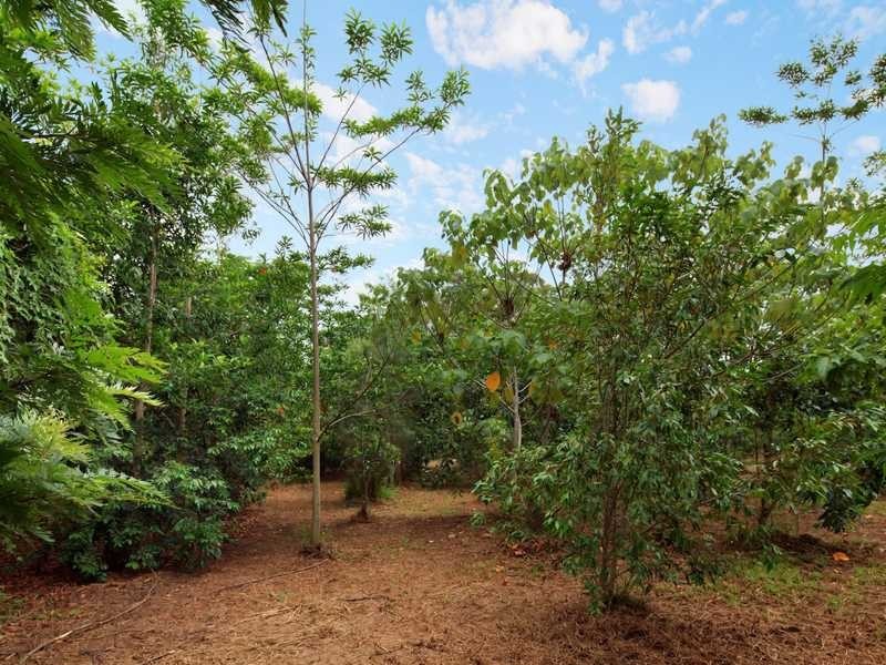 56 Collins Road, Yandina QLD 4561