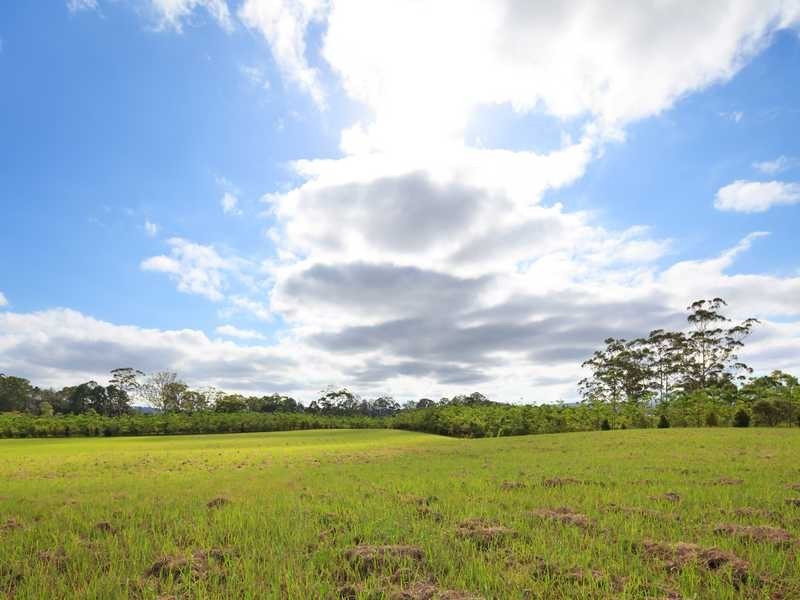 56 Collins Road, Yandina QLD 4561