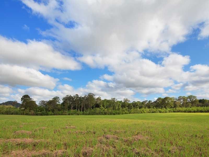 56 Collins Road, Yandina QLD 4561