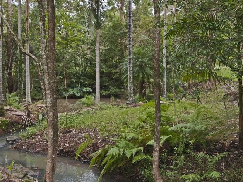 107 Jacksons Road, West Woombye QLD 4559