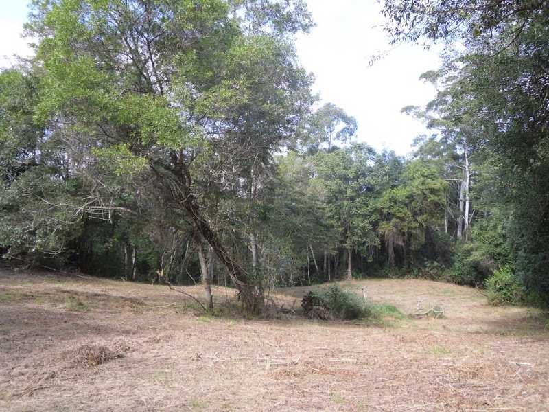 235 Paynters Creek Road, Rosemount QLD 4560