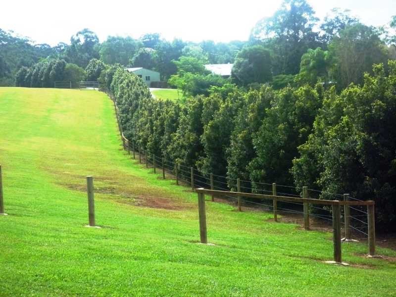 129 Gold Creek Road, North Arm QLD 4561