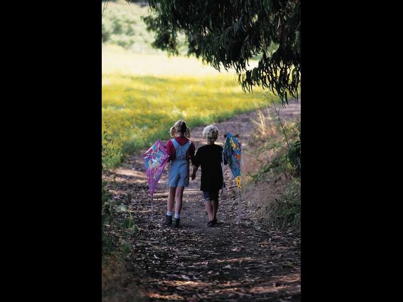 Lot 241 Image Flat Road, Nambour QLD 4560