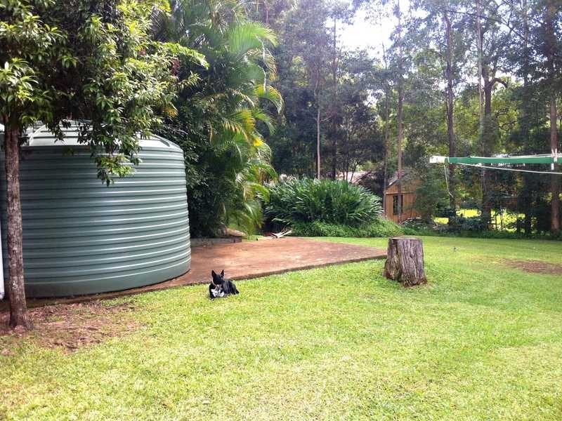 9 Glenrowan Close, Yandina QLD 4561