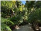 10 Mountridge Close, Kiels Mountain QLD 4559