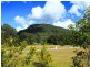 1 Golden Valley Place, Yandina QLD 4561