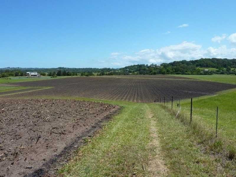 17 Bennett Road, Bli Bli QLD 4560