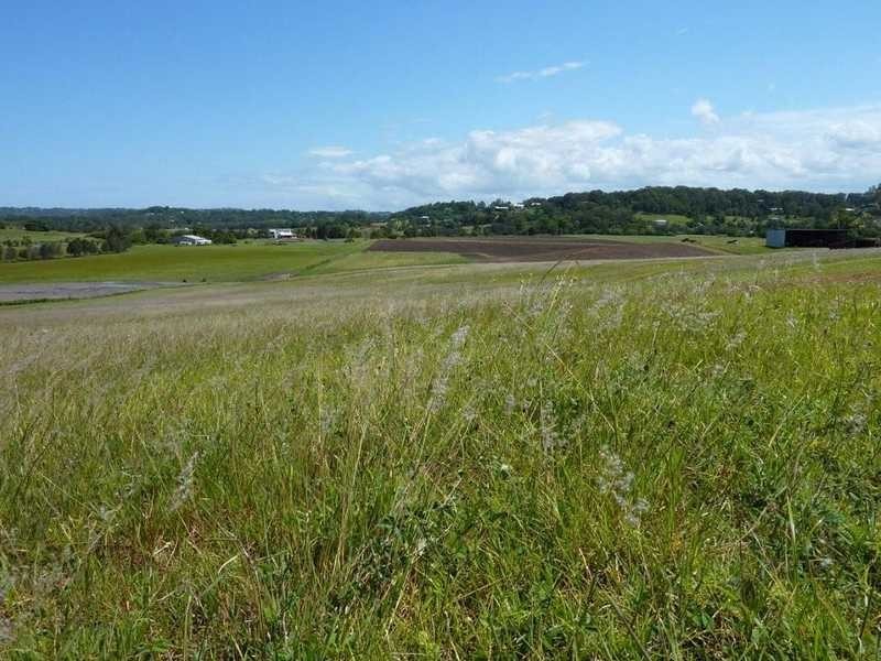 17 Bennett Road, Bli Bli QLD 4560