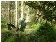 182 Hidden Valley Road, North Arm QLD 4561