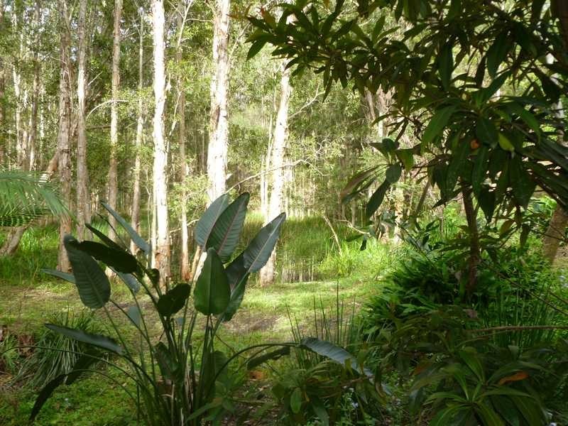 182 Hidden Valley Road, North Arm QLD 4561