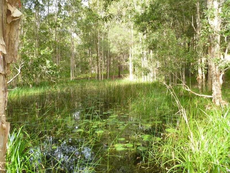 182 Hidden Valley Road, North Arm QLD 4561