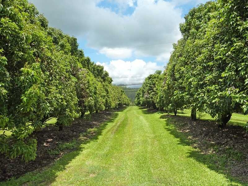 40 Roth Lane, Ninderry QLD 4561