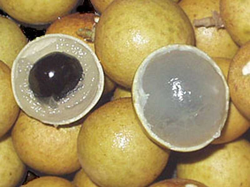 40 Roth Lane, Ninderry QLD 4561