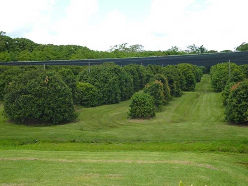 40 Roth Lane, Ninderry QLD 4561