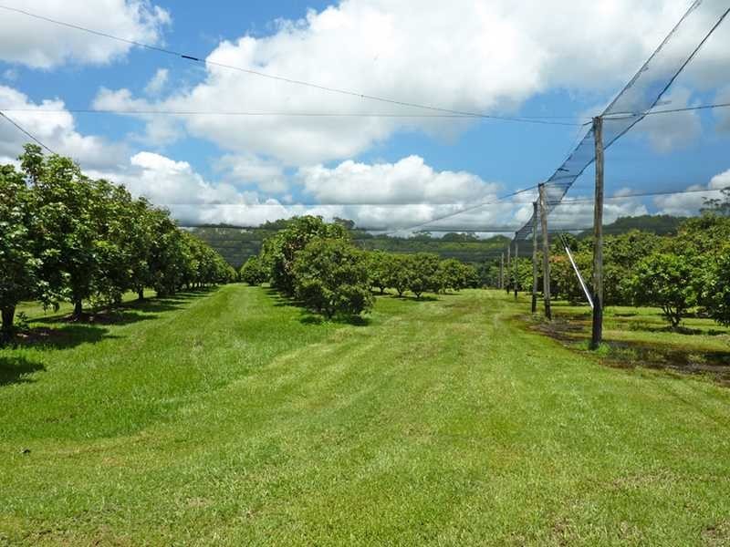 40 Roth Lane, Ninderry QLD 4561