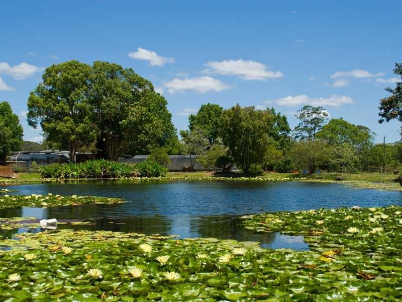 145-163 Dales Road, Chevallum QLD 4555