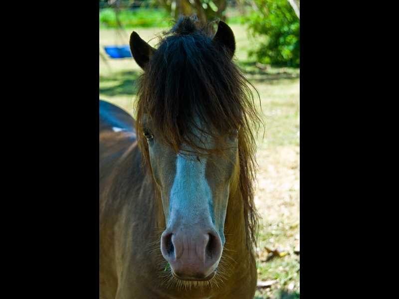 145-163 Dales Road, Chevallum QLD 4555