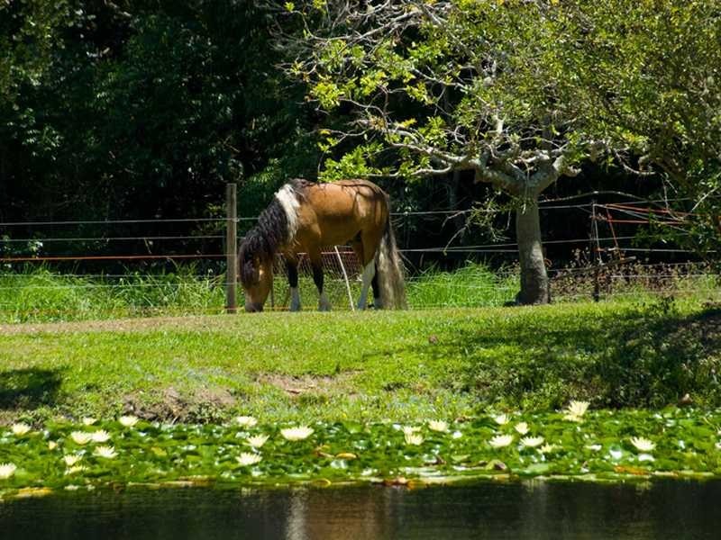 145-163 Dales Road, Chevallum QLD 4555