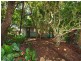 Diddillibah QLD 4559