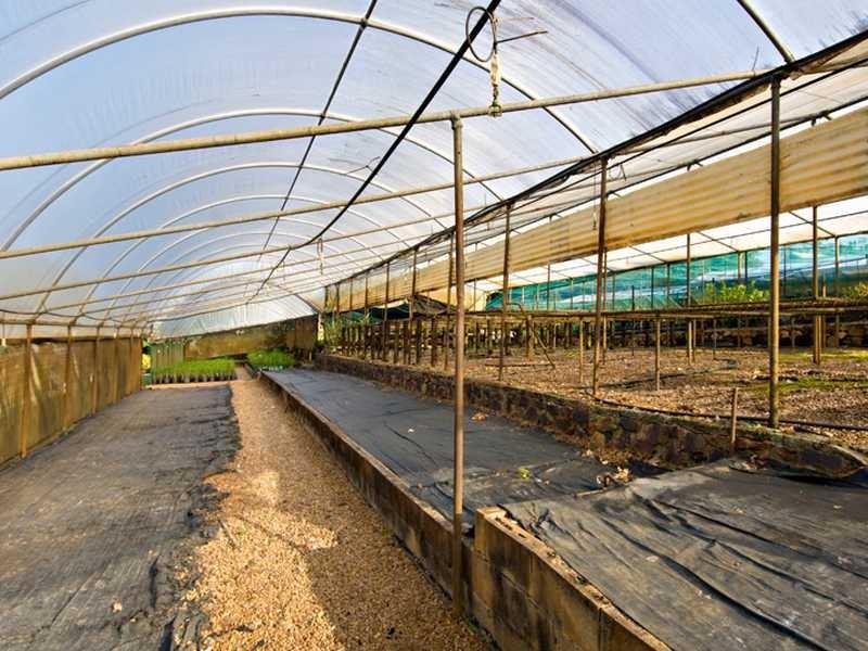 171 Burnside Road, Nambour QLD 4560