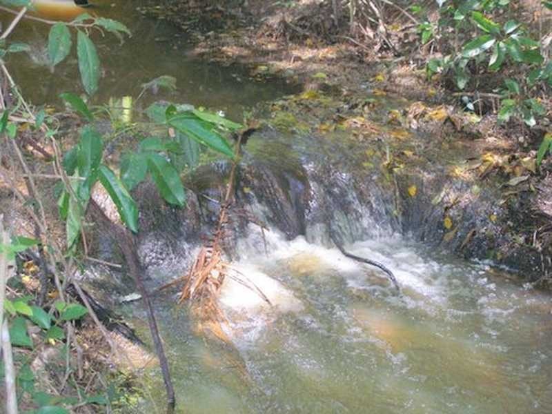 435 Kiel Mountain Road, Diddillibah QLD 4559