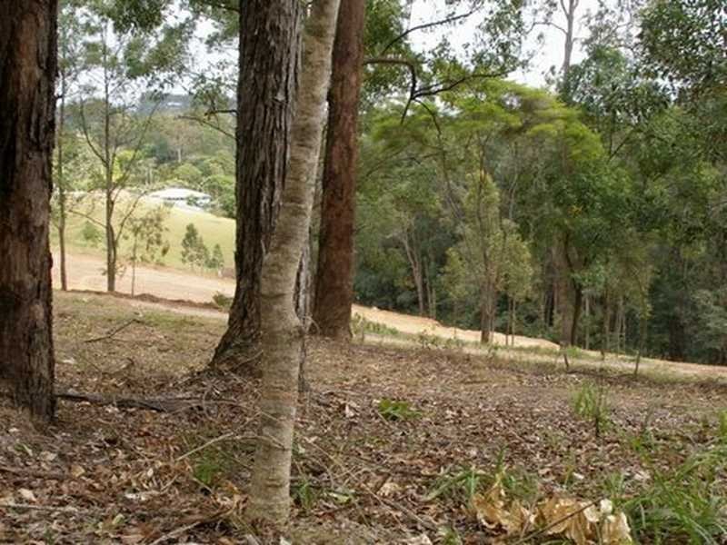 435 Kiel Mountain Road, Diddillibah QLD 4559