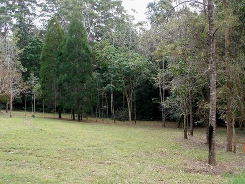 435 Kiel Mountain Road, Diddillibah QLD 4559