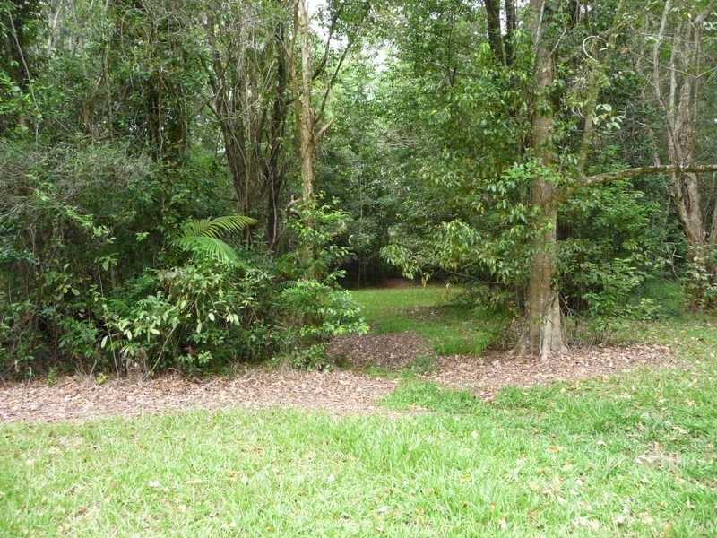 435 Kiel Mountain Road, Diddillibah QLD 4559