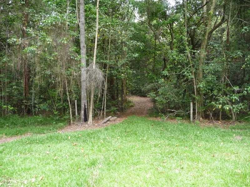 435 Kiel Mountain Road, Diddillibah QLD 4559