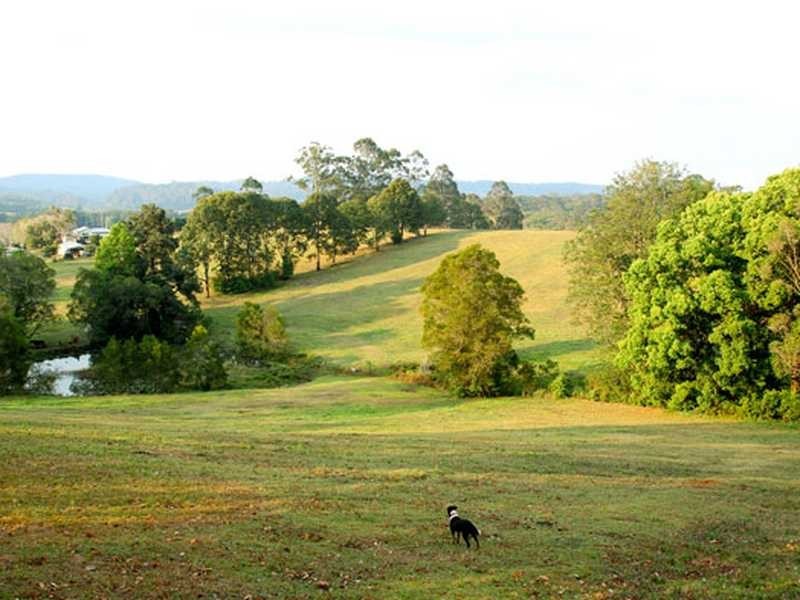 186 Diddillibah Road, Woombye QLD 4559