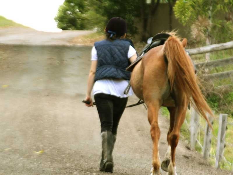 186 Diddillibah Road, Woombye QLD 4559