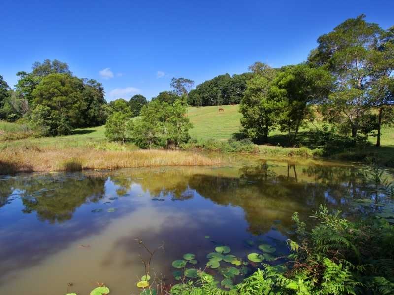 186 Diddillibah Road, Woombye QLD 4559