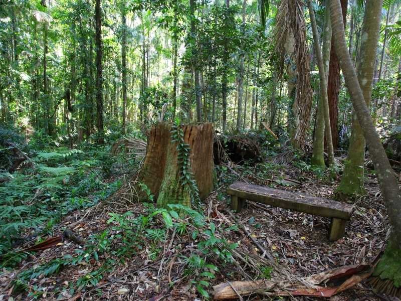 186 Diddillibah Road, Woombye QLD 4559