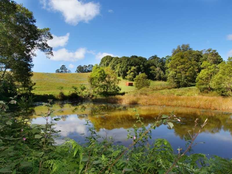 186 Diddillibah Road, Woombye QLD 4559